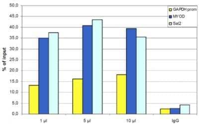 Chromatin Immunoprecipitation (ChIP): HIST1H3A Antibody [NBP2-41677] - ChIP assays were performed using human osteosarcoma (U2OS) cells and the antibody and optimized PCR primer sets for qPCR. A titration of the antibody consisting of 2, 5, 10 and 15 uL per ChIP experiment was analyzed. IgG (5 ug/IP) was used as negative control.