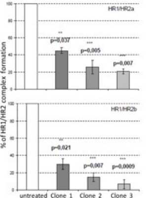 Blocking/Neutralizing: HIV-1 gp41 Antibody (402D9.14/clone 1) [Alexa Fluor (R) 488] [DDX1304A488] - Inhibition of HR1/HR2 fusion complex formation.