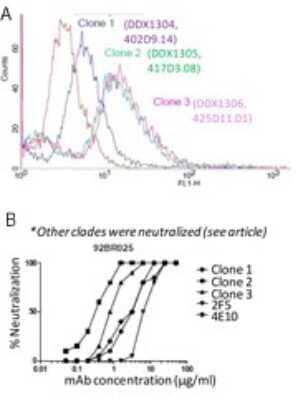 Flow Cytometry: HIV-1 gp41 Antibody (402D9.14/clone 1) [Alexa Fluor (R) 488] [DDX1304A488] - A) FACS staining of HEK293-gp41TM cell line. B) Neutralizing activity.