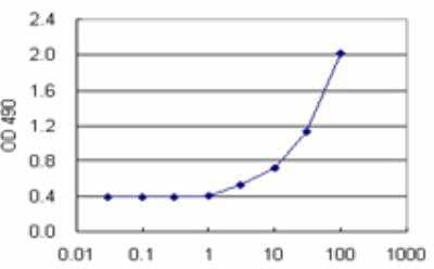 Sandwich ELISA HLA A Antibody Pair