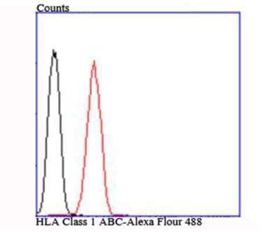 Flow Cytometry: HLA Class I Antibody [NBP2-75928] - analysis of Jurkat cells with HLA Class 1 ABC antibody at 1/100 dilution (red) compared with an unlabelled control (cells without incubation with primary antibody; black).