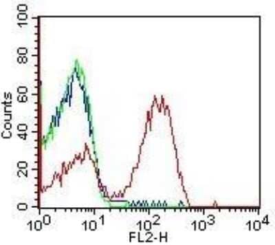 Flow (Cell Surface): HLA DMA Antibody (6B12NB) - Azide Free [NBP2-44304] - Human PBMC cells were stained (surface) with HLA DMA (6B12NB) antibody (red) or isotype control (mouse IgG1; green). Blue line represents cells alone. Positive staining was observed using PE conjugated mouse anti-IgG(H+L) secondary antibody. Live cells were gated (FL-2) for analysis.