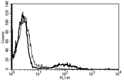 Flow Cytometry: HLA DQ Antibody (B-K27) - Azide and BSA Free [NBP3-18113] - A typical staining pattern with the B-K27 monoclonal antibody of lymphocytes.