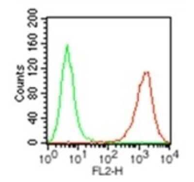 Flow (Cell Surface): HLA-DR Antibody (L243) - Azide and BSA Free [NBP2-80773] - Analysis using the Azide Free version of NB100-77855. Staining of HLA-DR expression by 5x10^5 BDCM cells using 0.5 ug of (red) and 0.5 ug of isotype control (green). This antibody and an anti-mouse IgG PE conjugated secondary antibody were used.