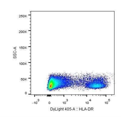 Flow Cytometry: HLA-DR Antibody (L243) [DyLight 405] [NB100-77855V] - analysis of HLA-DR in human PBMCs using anti-HLA-DR antibody. Image from verified customer review.