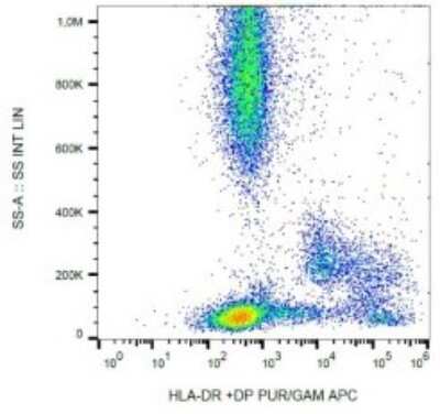 Flow Cytometry: HLA DR/DP Antibody (HL-38) [NB500-406] - Surface staining of human peripheral blood with anti-HLA-DR+DP (HL-38) purified, GAM-APC.