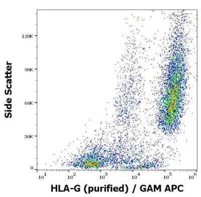 Flow Cytometry: HLA G Antibody (01G) - BSA Free [NBP1-44926] -  Surface staining pattern of HLA-G transfected LCL cells using anti-human HLA-G (01G) purified antibody (concentration in sample 16 ug/ml) GAM APC. 