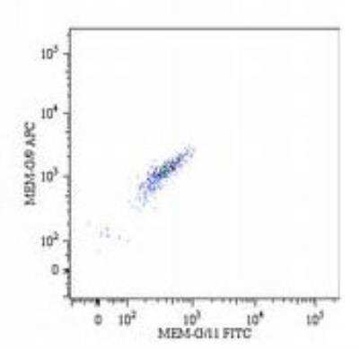 Flow Cytometry: HLA G Antibody (MEM-G/9) [Allophycocyanin] [NB500-314APC] - Analysis using the APC conjugate of NB500-314. Double surface staining of HLA-G1 transfectants (viable cells gate) using anti-human HLA-G (MEM-G/9) APC and anti-human HLA-G (MEM-G/11) FITC.