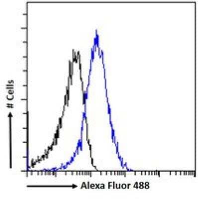 Flow Cytometry: HLTF Antibody [NB100-1041] - Flow cytometric analysis of paraformaldehyde fixed A431 cells (blue line), permeabilized with 0.5% Triton. Primary incubation 1hr (10ug/ml) followed by Alexa Fluor 488 secondary antibody (1ug/ml). IgG control: Unimmunized goat IgG (black line) followed by Alexa Fluor 488 secondary antibody.
