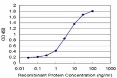 Sandwich ELISA: HMBS Antibody (2B12) [H00003145-M02] - Detection limit for recombinant GST tagged HMBS is approximately 0.1ng/ml as a capture antibody.