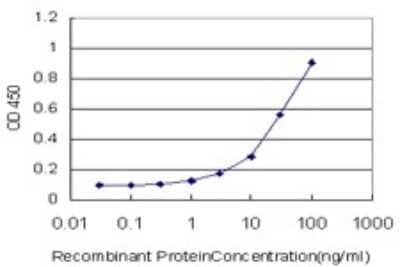 Sandwich ELISA: HMBS Antibody (3E8) [H00003145-M01] - Detection limit for recombinant GST tagged HMBS is approximately 1ng/ml as a capture antibody.