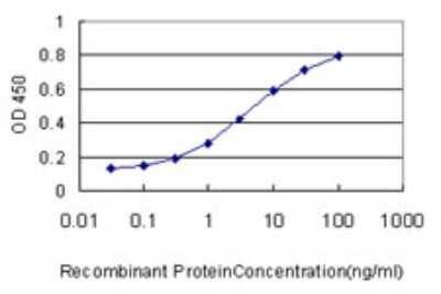 Sandwich ELISA: HMGA2 Antibody (2D10) [H00008091-M01] - Detection limit for recombinant GST tagged HMGA2 is approximately 0.1ng/ml as a capture antibody.