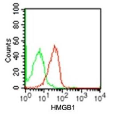 Flow Cytometry: HMGB1/HMG-1 Antibody (19N15F4) - Azide and BSA Free [NBP2-80775] - Intracellular analysis using HMGB1 antibody. Human Jurkat cells were probed using 0.5 ug of HMGB1 antibody (red) and 0.5 ug of isotype control antibody (green). Image from the standard format of this antibody.