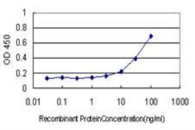 ELISA: HMGB1/HMG-1 Antibody (1B11) [H00003146-M03] - Detection limit for recombinant GST tagged HMGB1 is approximately 3ng/ml as a capture antibody.