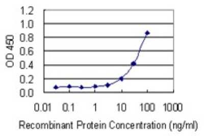 Sandwich ELISA: HMW Kininogen Antibody (4A1) [H00003827-M02] - Detection limit for recombinant GST tagged KNG1 is 1 ng/ml as a capture antibody.