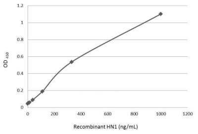 ELISA HN1 Antibody