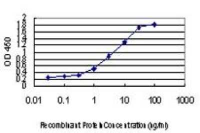 ELISA: HNF-3 beta/FoxA2 Antibody (4G11) [H00003170-M11] - Detection limit for recombinant GST tagged FOXA2 is approximately 0.03ng/ml as a capture antibody.