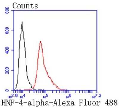 Flow Cytometry: HNF-4 alpha/NR2A1 Antibody (SN72-03) [NBP2-67679] - Analysis of HepG2 cells with HNF-4-alpha antibody at 1/50 dilution (red) compared with an unlabelled control (cells without incubation with primary antibody; black). Alexa Fluor 488-conjugated goat anti rabbit IgG was used as the secondary antibody