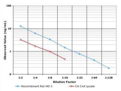 ELISA: HO-1/HMOX1/HSP32 ELISA Kit (Colorimetric) [NBP2-61292] - These standard curves are provided for demonstration only. A standard curve should be generated for each set of samples assayed.