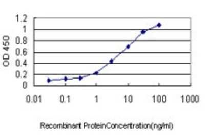 Sandwich ELISA: HORMAD1 Antibody (2E5) [H00084072-M01] - Detection limit for recombinant GST tagged HORMAD1 is approximately 0.1ng/ml as a capture antibody.