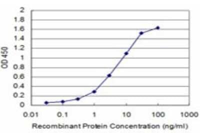 Sandwich ELISA: HOXB7 Antibody (5B2) [H00003217-M04] - Detection limit for recombinant GST tagged HOXB7 is approximately 0.1ng/ml as a capture antibody.