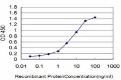 Sandwich ELISA: HOXC10 Antibody (3F10) [H00003226-M02] - Detection limit for recombinant GST tagged HOXC10 is approximately 0.1ng/ml as a capture antibody.