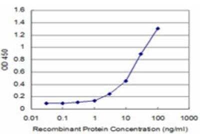 ELISA: HOXC12 Antibody (3E1) [H00003228-M09] - Detection limit for recombinant GST tagged HOXC12 is approximately 0.3ng/ml as a capture antibody.