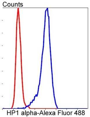 Flow Cytometry: HP1 alpha Antibody (SR44-03) [NBP2-67349] - Analysis of SH-SY-5Y cells with HP1 alpha antibody at 1/50 dilution (blue) compared with an unlabelled control (cells without incubation with primary antibody; red). Alexa Fluor 488-conjugated goat anti rabbit IgG was used as the secondary antibody.