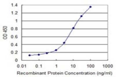 ELISA: HRD1 Antibody (4H4) [H00084447-M01] - Detection limit for recombinant GST tagged SYVN1 is 0.1 ng/ml as a capture antibody.