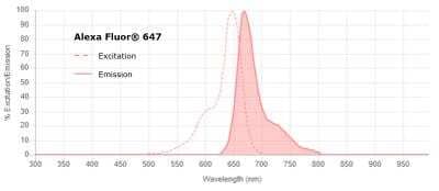 HRD1 Antibody [Alexa Fluor® 647] [NB100-2526AF647] - Sprectraviewer image of AF647.