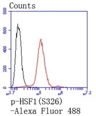 Flow Cytometry: HSF1 [p Ser326] Antibody (SU31-03) [NBP2-67455] - Analysis of Hela cells with p-HSF1(S326) antibody at 1/50 dilution (red) compared with an unlabelled control (cells without incubation with primary antibody; black). Alexa Fluor 488-conjugated goat anti rabbit IgG was used as the secondary