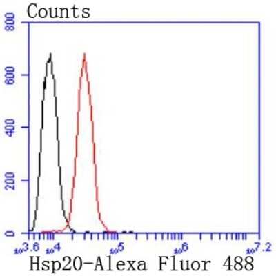 Flow Cytometry: HSP20/HSPB6 Antibody (SD086-03) [NBP2-67815] - Analysis of Hela cells with Hsp20 antibody at 1/50 dilution (red) compared with an unlabelled control (cells without incubation with primary antibody; black). Alexa Fluor 488-conjugated goat anti rabbit IgG was used as the secondary antibody