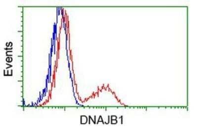 Flow Cytometry: HSP40/DNAJB1 Antibody (OTI1F9) - Azide and BSA Free [NBP2-70969] - Hsp40/DNAJB1 Antibody (1F9) HEK293T cells transfected with either overexpression plasmid (Red) or empty vector control plasmid (Blue) were immunostaining by anti-Hsp40 antibody, and then analyzed by flow cytometry.