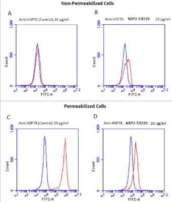 Flow Cytometry: HSP70/HSPA1A Antibody (1H11) [NBP2-59339] - Hsp70 / Hsc70 Antibody (1H11) [NBP2-59339] - Clone 1H11: FITC conjugate.  Tissue: Jurkat E6.1. Species: Human. Unfixed/non-permeablized cells were incubated with (A) Anti-HSP70 control antibody (not cell-surface-specific), or (B) Anti-HSP70 antibody, clone 1H11 for 40 min at 4 degrees C. Fixed/permeabilized cells were incubated with (C) Anti-HSP70 control antibody, or (D) Anti-HSP70 antibody, clone 1H11 or 40 min at 4 degrees C. Analysis shows that non-permeabilized cells show cell surface binding with 1H11 clone (NBP2-59339) but not with the control antibody, and the permeabilized cells show strong intracellular binding with the control antibody but much less with 1H11 clone (NBP2-59339). Courtesy of: Dr. Elyse Ireland, Institute of Medicine, University of Chester.