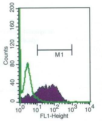 Flow Cytometry: HSP70/HSPA1A Antibody (BRM-22) [NB600-1165] - A549 cells were fixed and permeabilized with 2% Paraformaldehyde followed by 0.1% Triton X-100. Fixed cells were labeled with 1:100 Monoclonal Anti-HSP70 / HSPA1A , Clone: BRM-22 followed by Rabbit Anti-Mouse IgG, FITC conjugate. Green histogram: negative control without first antibody, Purple histogram: antibody specific staining.