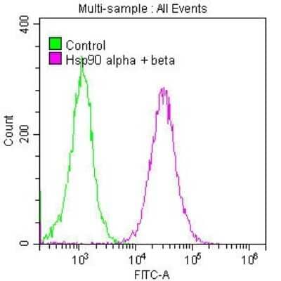 Flow Cytometry: HSP90 Antibody (10D6) [NBP3-15144] - Overlay histogram showing Jurkat cells stained with HSP90 antibody (red line) at 1:50. The cells were fixed with 70% Ethylalcohol (18h) and then permeabilized with 0.3% Triton X-100 for 2 min. The cells were then incubated in 1x PBS /10% normal goat serum to block non-specific protein-protein interactions followed by primary antibody for 1 h at 4C. The secondary antibody used was FITC goat anti-rabbit IgG (H+L) at 1/200 dilution for 1 h at 4C. Control antibody (green line) was used under the same conditions. Acquisition of >10,000 events was performed.