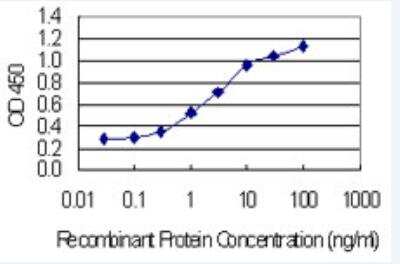 ELISA: HSPA8/HSC71/Hsc70 Antibody (1G2) [H00003312-M01-100ug] - Detection limit for recombinant GST tagged HSPA8 is 0.1 ng/ml as a capture antibody.