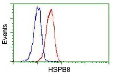 CyTOF-ready: HSPB8/HSP22 Antibody (OTI1E3) - Azide and BSA Free [NBP2-71828] - Analysis of Jurkat cells, using anti-Hsp22 antibody, (Red), compared to a nonspecific negative control antibody (Blue).