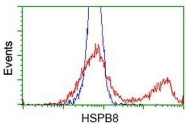 CyTOF-ready: HSPB8/HSP22 Antibody (OTI1E3) - Azide and BSA Free [NBP2-71828] - HEK293T cells transfected with either overexpression plasmid (Red) or empty vector control plasmid (Blue) were immunostaining by anti-Hsp22 antibody, and then analyzed by flow cytometry.