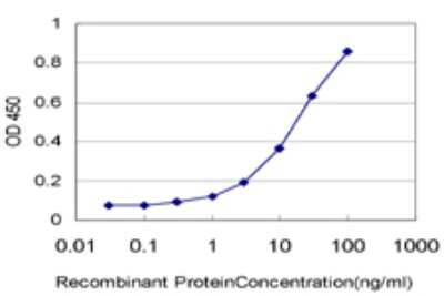 Sandwich ELISA: HUNK Antibody (2E3) [H00030811-M01] - Detection limit for recombinant GST tagged HUNK is approximately 0.3ng/ml as a capture antibody.