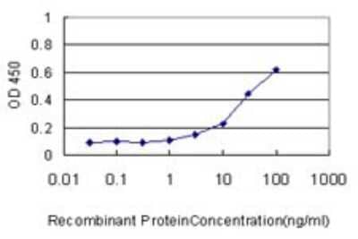 Sandwich ELISA: HYI Antibody (2F6) [H00081888-M02] - Detection limit for recombinant GST tagged HYI is approximately 3ng/ml as a capture antibody.
