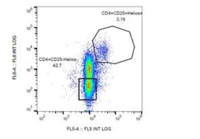 Flow Cytometry: Helios Antibody (22F6) [NBP2-37723] - Staining of CD4+ human peripheral blood lymphocytes using anti-Helios (clone 22F6) PE-CyTM7. 