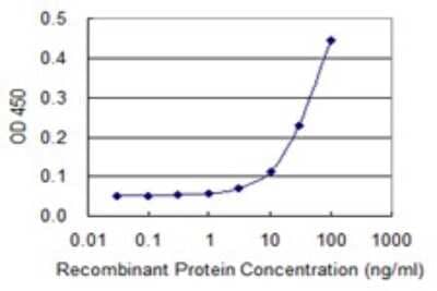 Sandwich ELISA: HBG1/2 Antibody (1G8) [H00003047-M03] - Hemoglobin gamma A Antibody (1G8) [H00003047-M03] - Detection limit for recombinant GST tagged HBG1/2 is 3 ng/ml as a capture antibody.