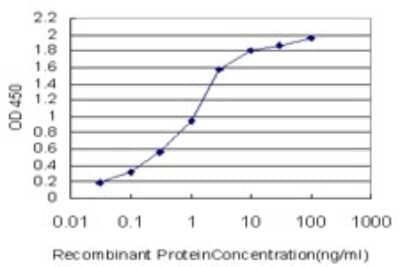 Sandwich ELISA: Hemoglobin zeta Antibody (3C4-1D5) [H00003050-M01] - Detection limit for recombinant GST tagged HBZ is approximately 0.03ng/ml as a capture antibody.