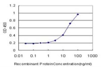 ELISA: Heparanase/HPSE Antibody (4D7) [H00010855-M05] - Detection limit for recombinant GST tagged HPSE is approximately 0.3ng/ml as a capture antibody.