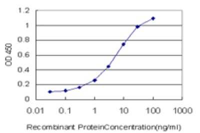 Sandwich ELISA: Hephaestin Antibody (2D3) [H00009843-M01] - Detection limit for recombinant GST tagged HEPH is approximately 0.3ng/ml as a capture antibody.