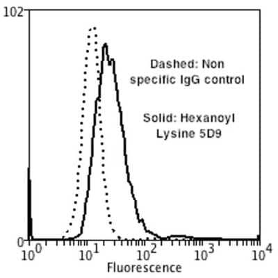 Flow Cytometry Hexanoyl-Lysine adduct Antibody (5D9) - BSA Free