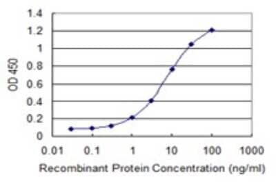 Sandwich ELISA: Hexim 1 Antibody (2D12) [H00010614-M02] - Detection limit for recombinant GST tagged HEXIM1 is 0.1 ng/ml as a capture antibody.