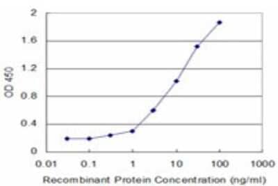 Sandwich ELISA: Hexokinase 2 Antibody (4H1) [H00003099-M01] - Detection limit for recombinant GST tagged HK2 is approximately 0.3ng/ml as a capture antibody.