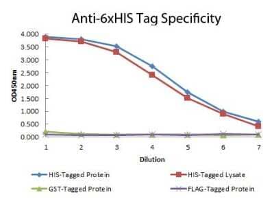 ELISA: His Tag Antibody (33D10.D2.G8) [DyLight 405] [NBP1-97328] - ELISA of His Tag antibody (33D10.D2.G8) [DyLight 405]Antigen: HIS-tagged purified protein and E. coli cell lysates expressing HIS-Tagged construct, GST- and RON-tagged purified proteinsCoating amount: 0.15ug per welll.Primary antibody: His Tag antibody at 100ug/mL.Dilution series: 2-fold.Mid-point concentration: 200ng/mL.Secondary antibody: Peroxidase mouse secondary antibody at 1:10,000.Substrate: TMB